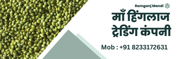 maa hinglaj trading company coriander